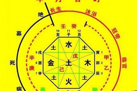 八字用神怎么看|八字喜用神是什么 八字喜用神如何确定